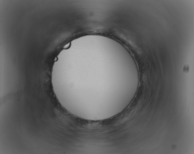 X0000094941447200712131549