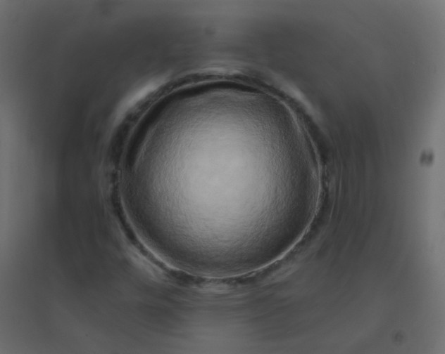 X0000094941448200712131549