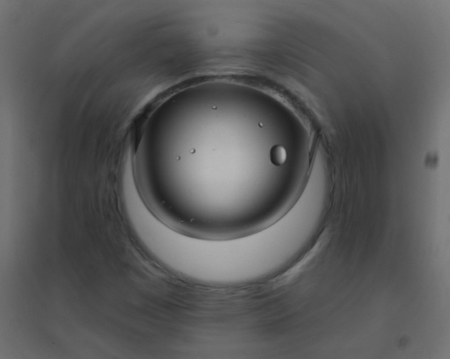 X0000094941449200712131549