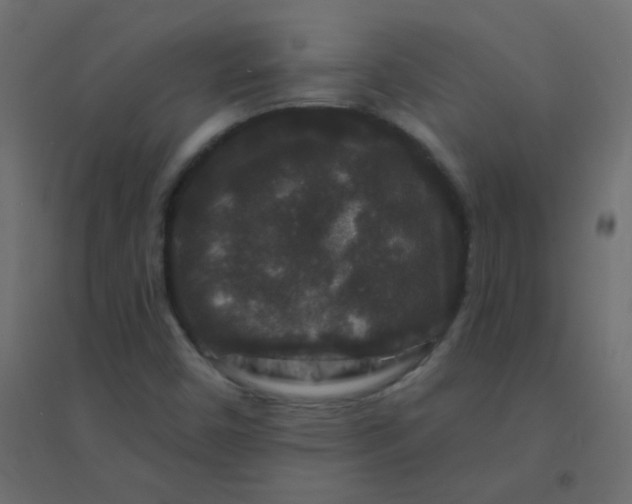 X0000094941450200712131549