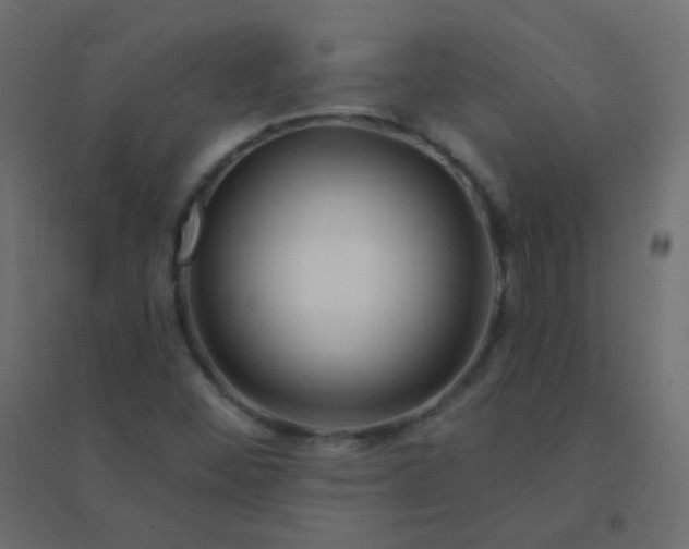 X0000094941452200712131549