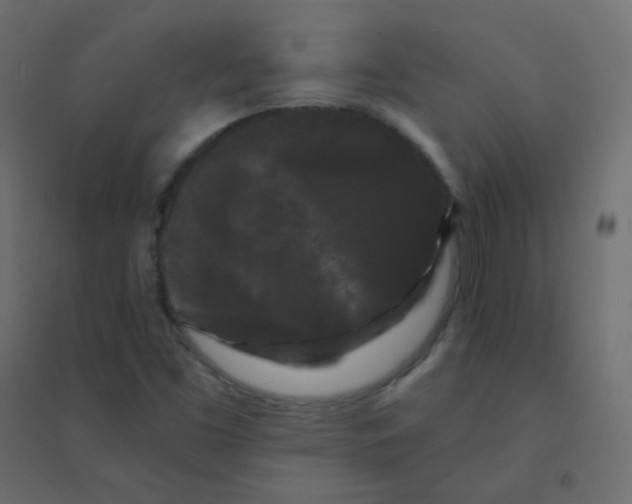 X0000094941453200712131549