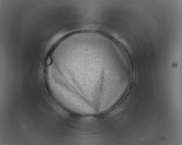 X0000094941454200712131549