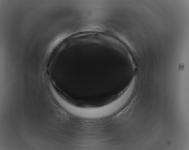 X0000094941455200712131549