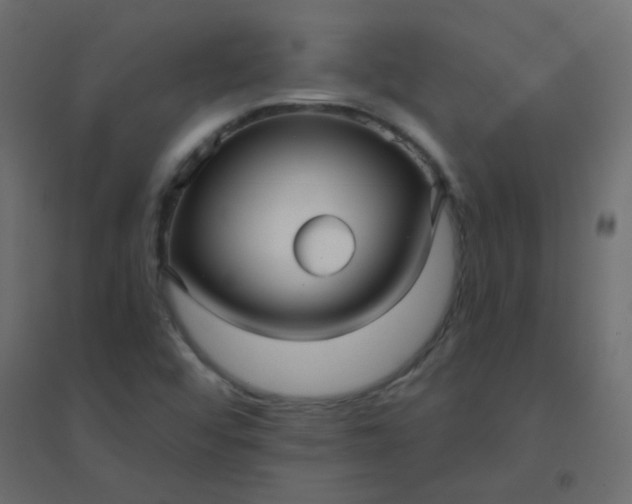 X0000094941456200712131549