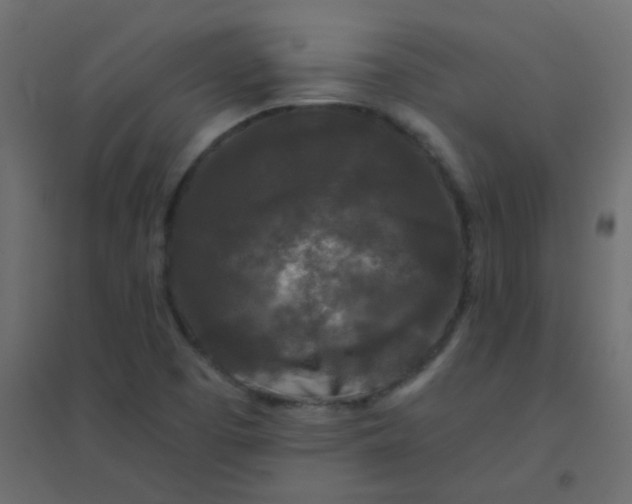 X0000094941457200712131549