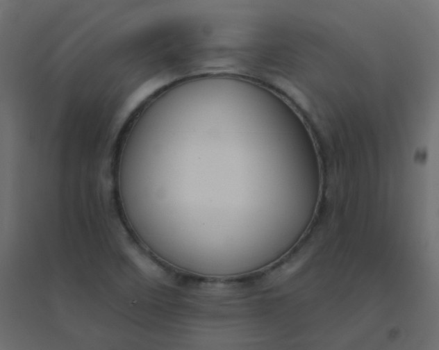 X0000094941458200712131549