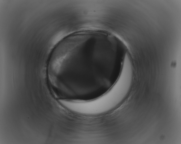 X0000094941459200712131549