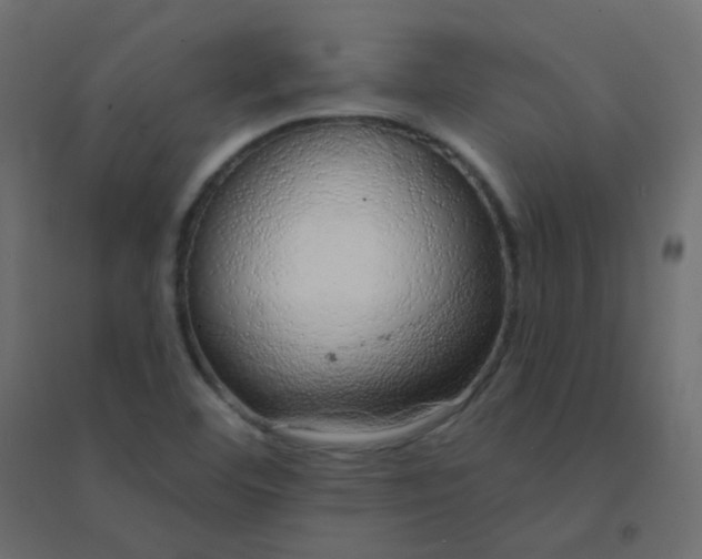 X0000094941460200712131549