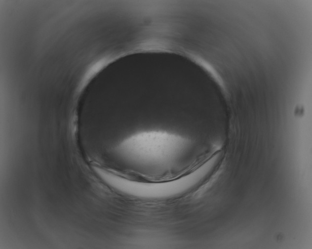 X0000094941461200712131549