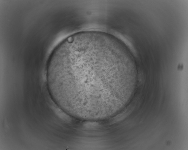 X0000094941462200712131549