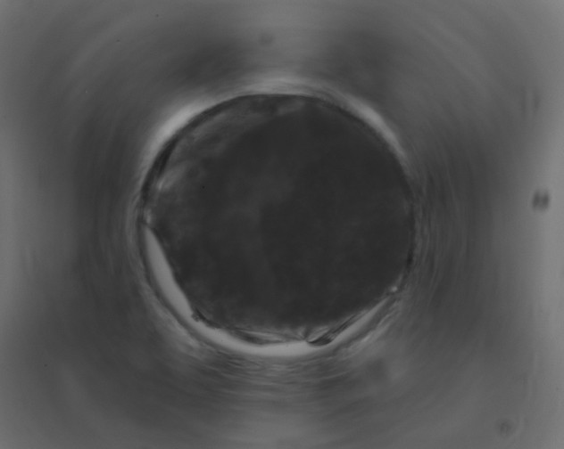 X0000094941463200712131549