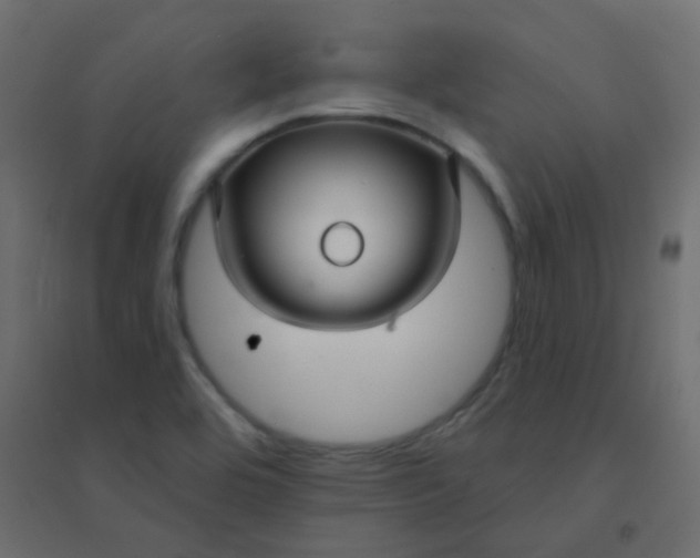 X0000094941464200712131549