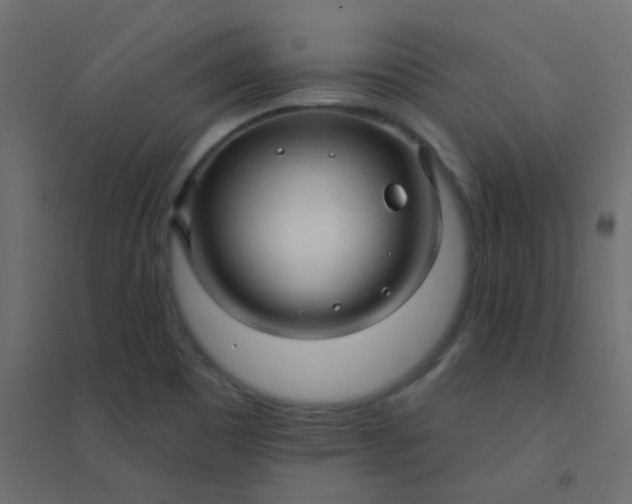 X0000094941465200712131549