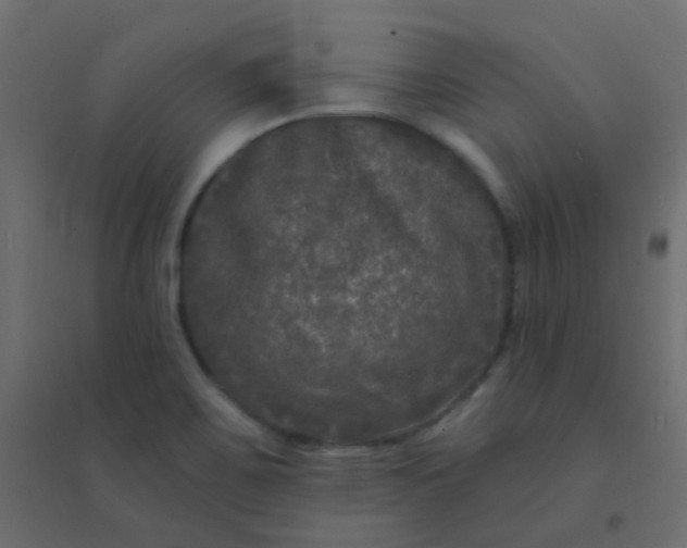 X0000094941467200712131549