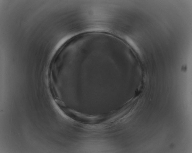 X0000094941468200712131549