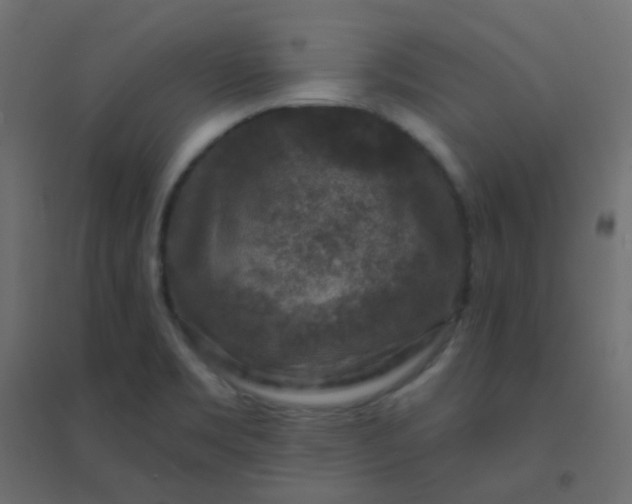 X0000094941469200712131549