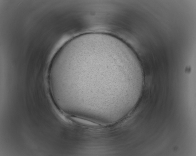 X0000094941470200712131549