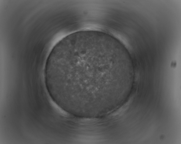 X0000094941471200712131549