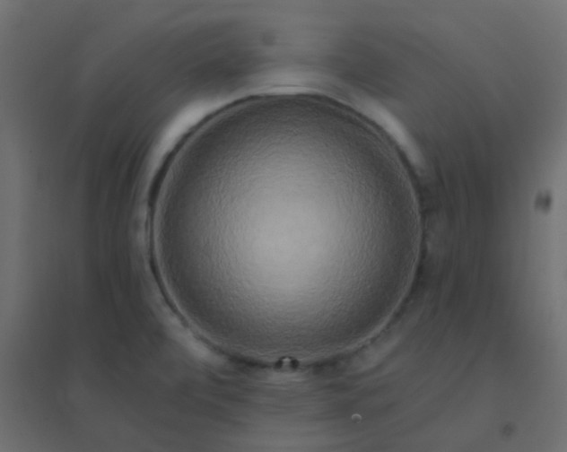 X0000094941472200712131549