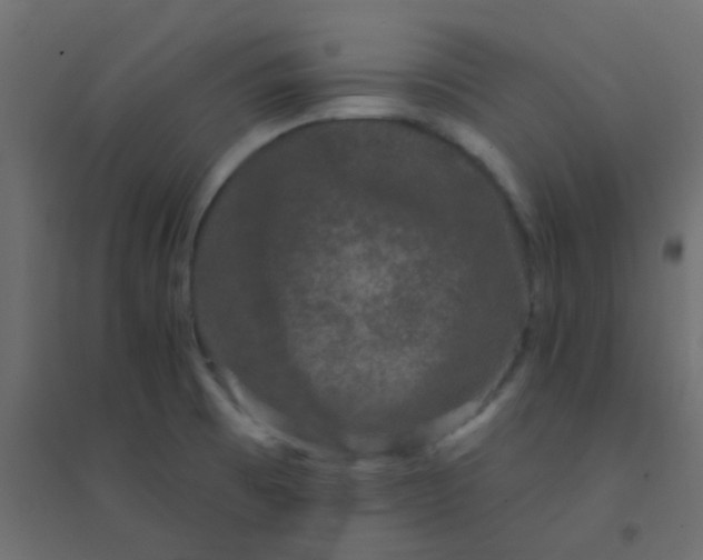 X0000094941473200712131549