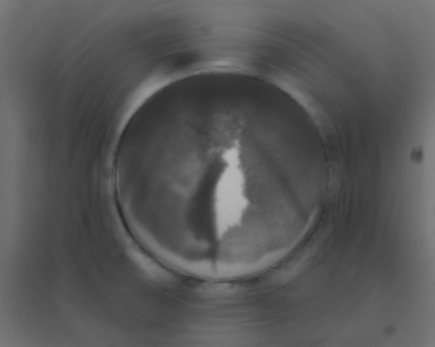 X0000094941474200712131549