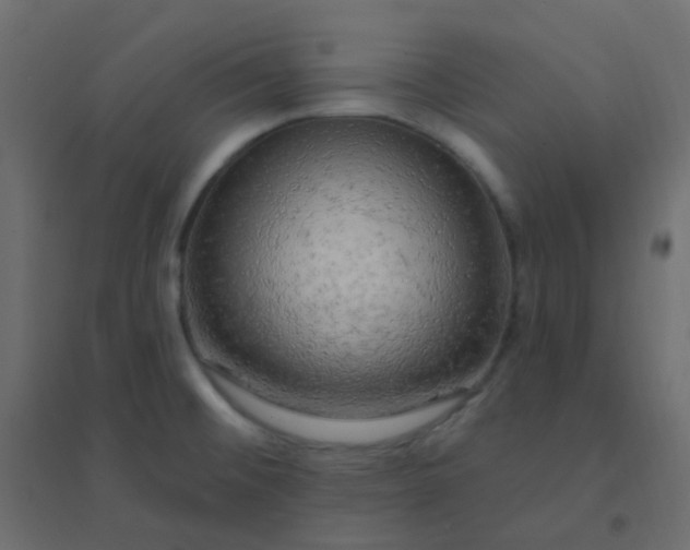 X0000094941476200712131549