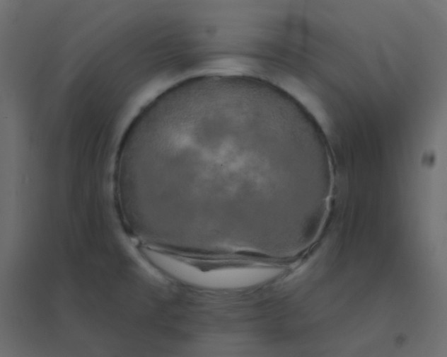 X0000094941477200712131549