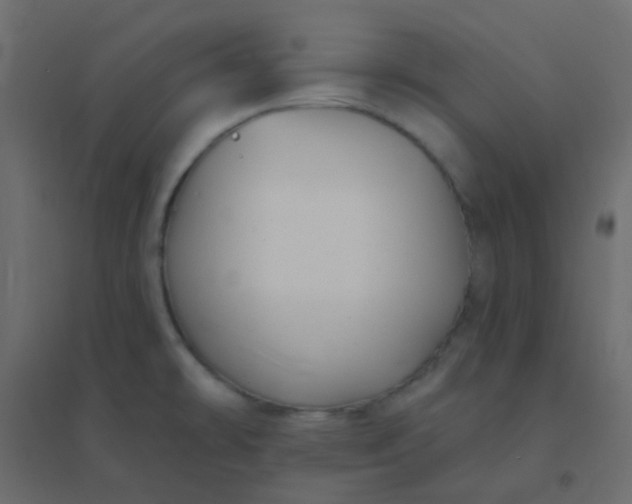 X0000094941478200712131549