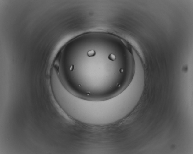 X0000094941480200712131549