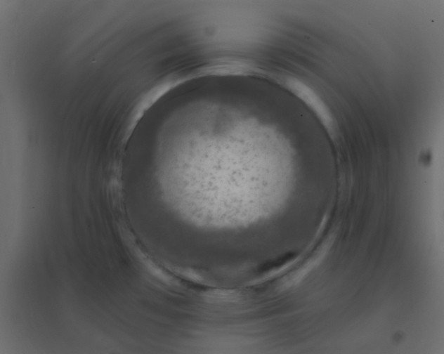 X0000094941481200712131549