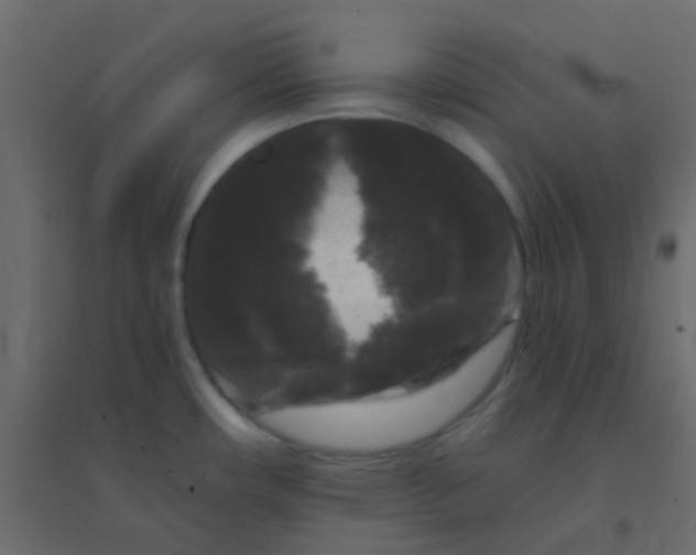 X0000094941482200712131549