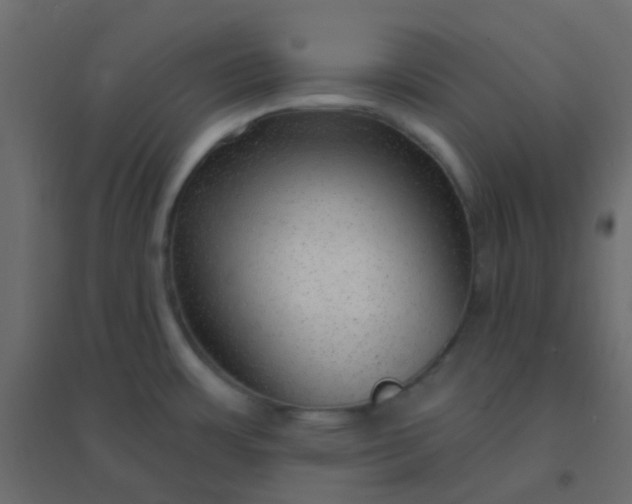 X0000094941483200712131549