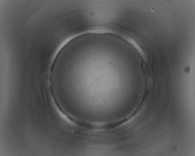 X0000094941484200712131549