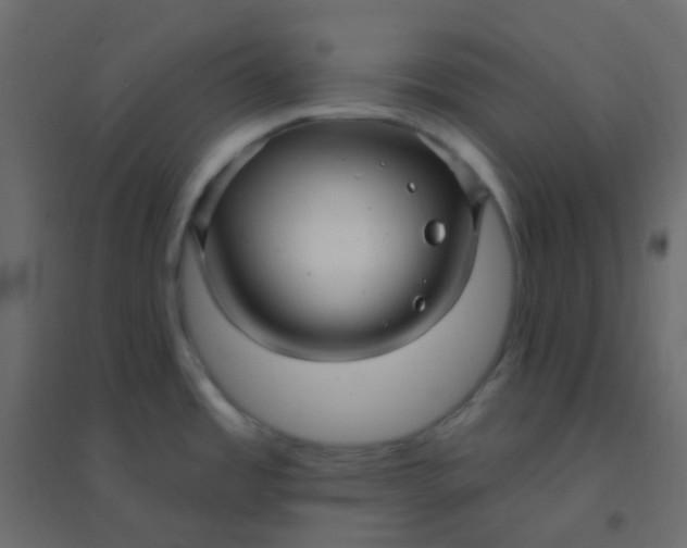 X0000094941485200712131549