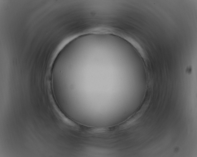 X0000094941486200712131549