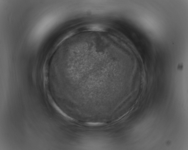 X0000094941487200712131549