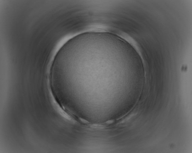 X0000094941488200712131549