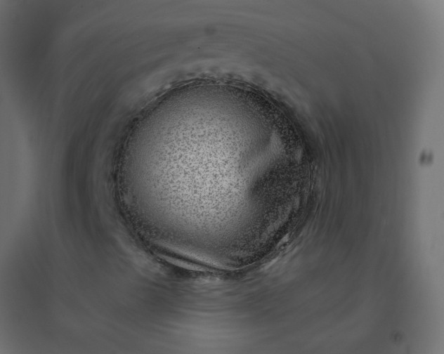 X0000094941489200712131548