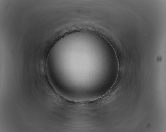 X0000094941490200712131548