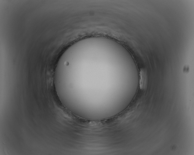 X0000094941491200712131548