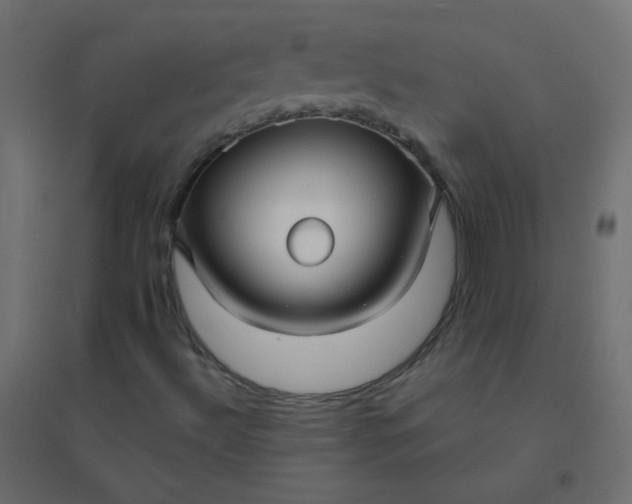 X0000094941492200712131548