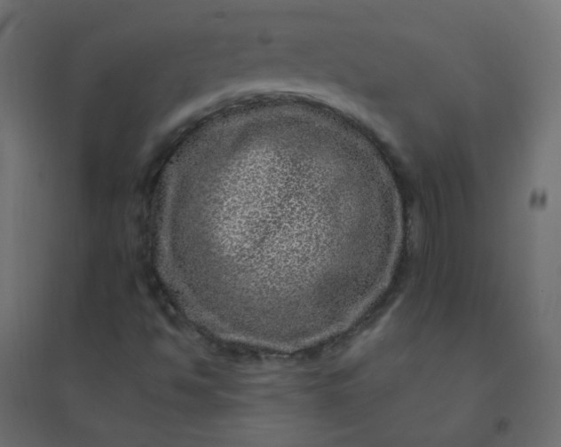 X0000094941494200712131548