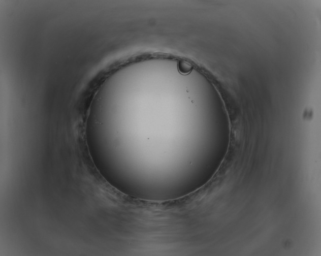 X0000094941495200712131548