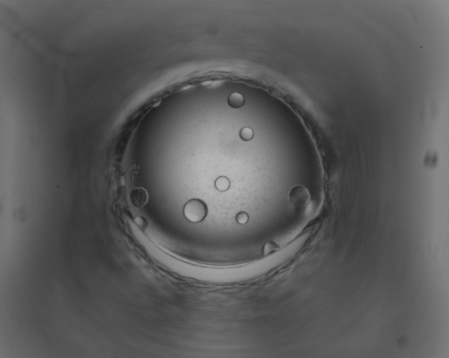 X0000094941496200712131548