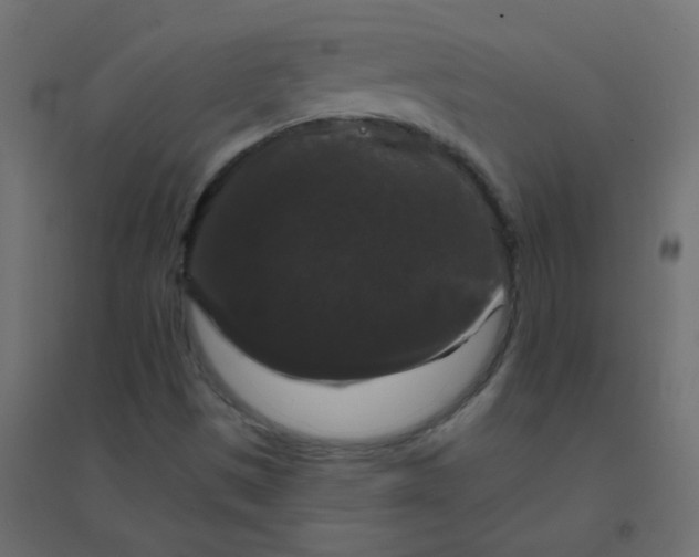 X0000094941497200712131548