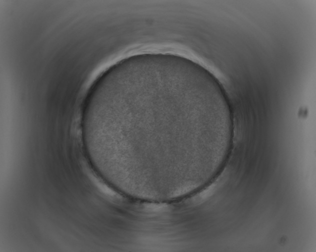 X0000094941498200712131548