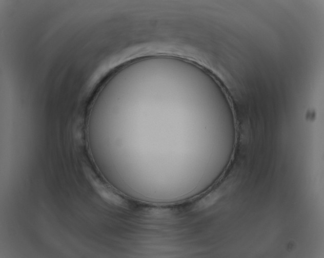 X0000094941499200712131548