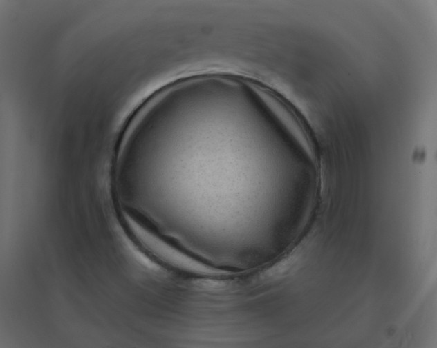 X0000094941500200712131548