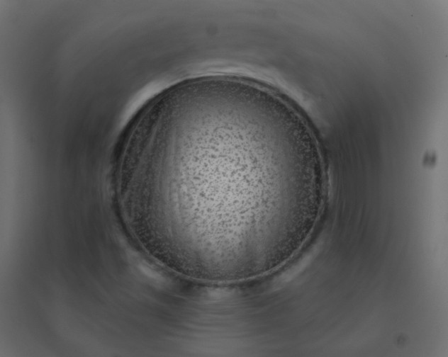 X0000094941501200712131548